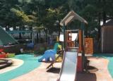 대전 푸른숲 어린이집 모래소독