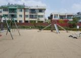 대전 문창초등학교 모래소독 포스팅